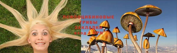 герыч Абаза