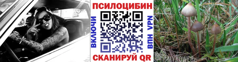 купить наркотики сайты  Топки  Псилоцибиновые грибы прущие грибы 